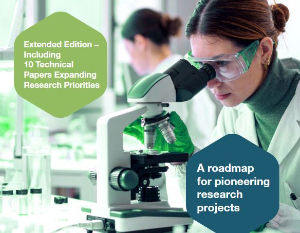 Un roadmap para la busqieda pionera de proyectos